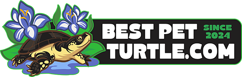 Best Pet Turtle Web Logo